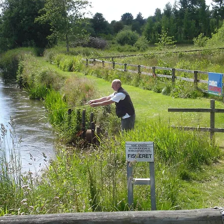 אתר קמפינג A &